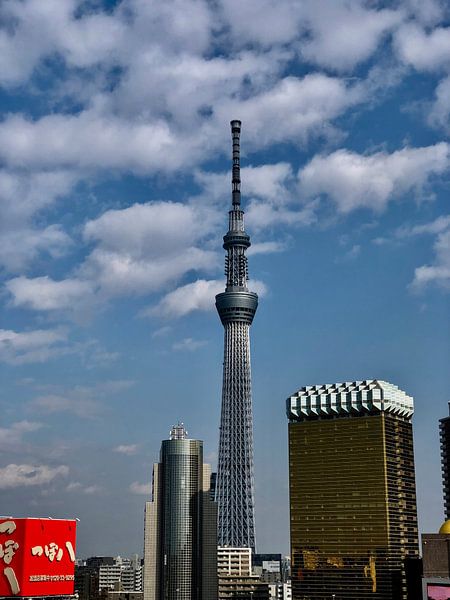 Tokyo by Hello Pompoyo