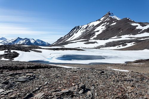Landscape South Georgia