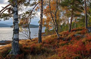 Herbstlandschaft
