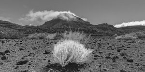 Lumière dorée au-dessus de la Caldera de las Cañadas