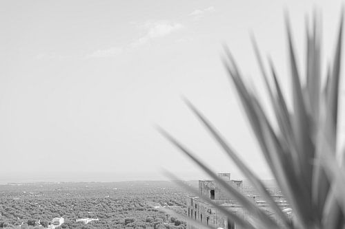 Uitzicht over Ostuni