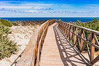 Alcudia op het eiland Majorca, Spanje van Alex Winter thumbnail