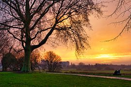 Die Bossche Hose von Ad van Kruysdijk