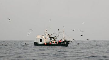 Kantabrisches Meer, Spanien