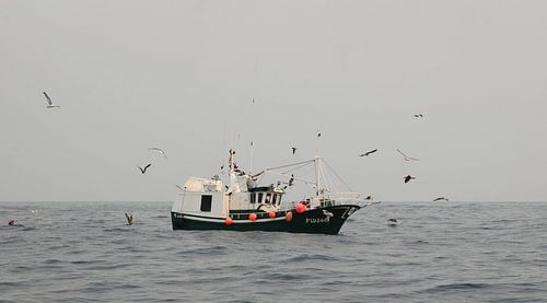 Cantabrische Zee, Spanje