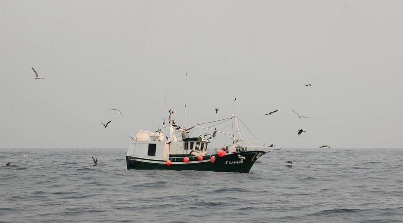 Cantabrian Sea, Spain by Jarne Buttiens