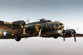 Sally B van Nildo Scoop