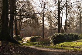 Schönes Landschaftsbild mit Gegenlicht von Arthur Wisse