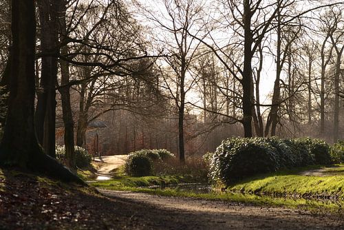 Belle image de paysage à contre-jour