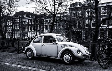 Ein Käfer im Wassergraben von Arthur Scheltes