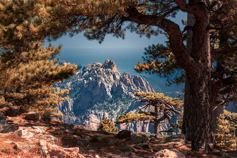 Corsica by Thomas Heitz