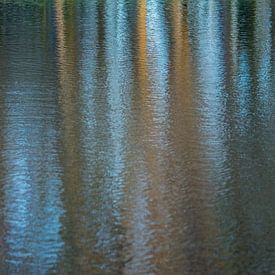 Abstract natuur van Marian Sintemaartensdijk