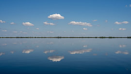Delta Mirror : là où le ciel rencontre l'eau sur Johannes Jongsma