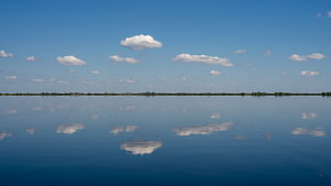 Delta Mirror: Where Sky Meets Water
