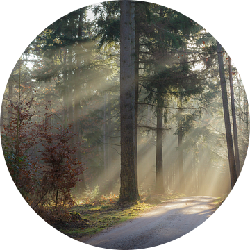 Magische herfstochtend van FotoCreatives