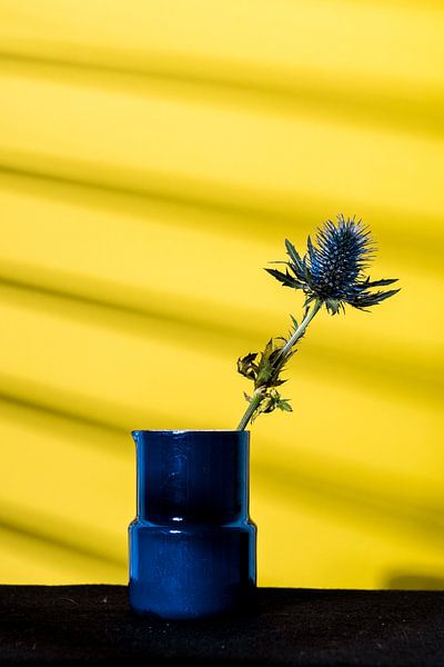 Blauwe distel in  vaasje von whatido intheshadow