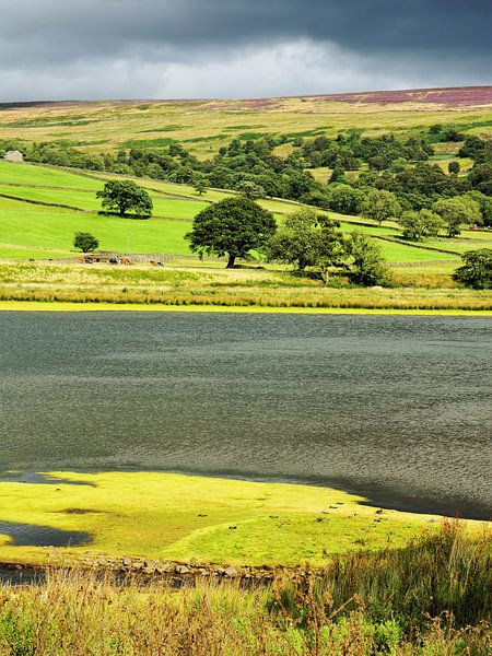 Idylle im Nidderdale van Gisela Scheffbuch