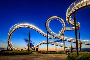 Tiger and Turtle in Duisburg by Frank Heldt
