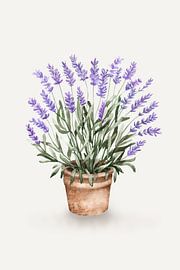 Potted Lavender Watercolor by Karen Menzenbach