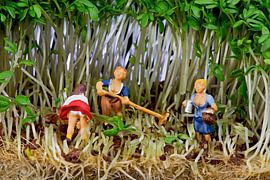 Oogst van tuinkers von Arie Kraaijeveld