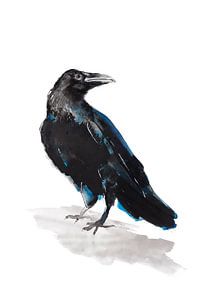 Kauw bijzondere vogel illustratie van Angela Peters