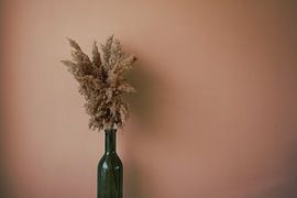 Soft grasses - cane plumes in green bottle by Masterpiece Living