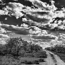 Leere Straße unter bewölktem Himmel schwarz-weiß von Senten-Images Carlo Senten