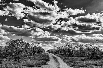 Lege weg onder een bewolkte lucht zwart-wit van Senten-Images Carlo Senten