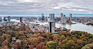 Autumn Rotterdam Euromast