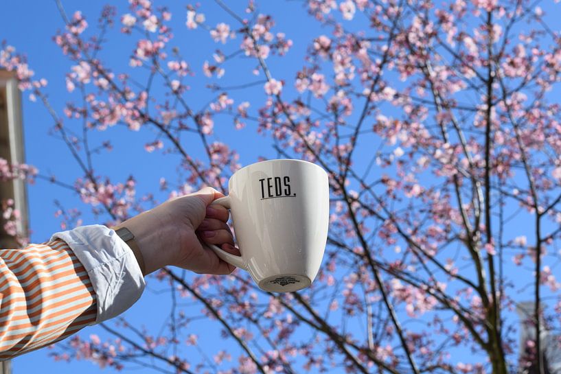Tee und Blüte von sneakersandicecream