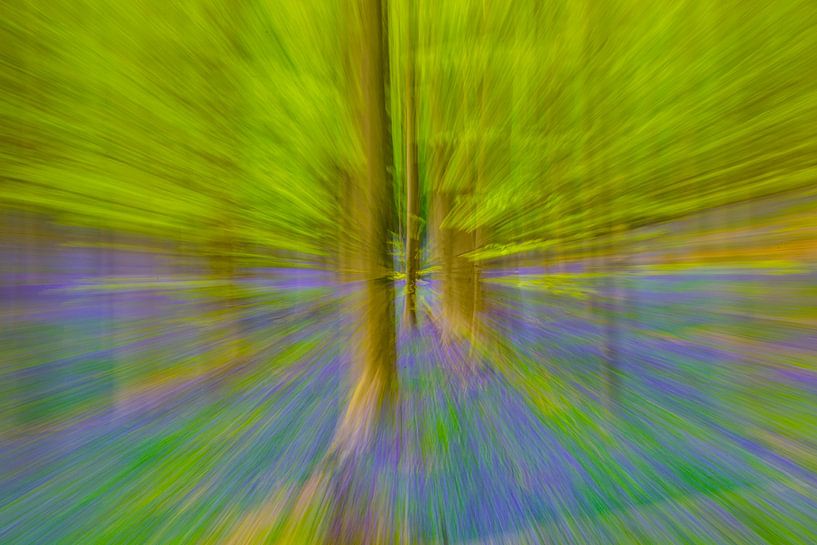 Abstract zoomeffect in een beukenbos met wilde hyacinten van Sjoerd van der Wal Fotografie