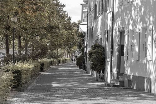 Zwitsers laantje in de herfst