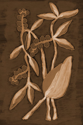 Organic Sepia Botanicals