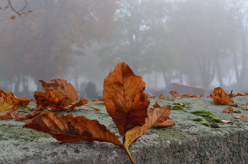 autumn by Ursula Schmidt