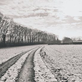 Snowy landscape by Goldeneyes