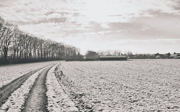 Snowy landscape van Goldeneyes