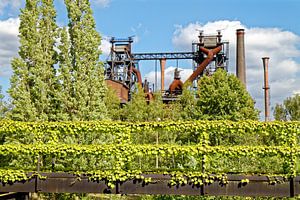 Grüner Landschaftspark Duisburg-Nord (7-47443)
