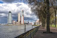 Skyline Rotterdam Kop van Zuid: blik op de Wilhelminapier (7) van Rick Van der Poorten thumbnail