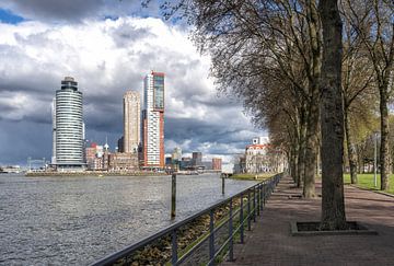 Skyline Rotterdam Kop van Zuid: blik op de Wilhelminapier (7) van Rick Van der Poorten
