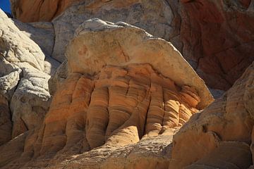 Poche blanche dans le Vermilion Cliffs National Monument, Arizona, USA sur Frank Fichtmüller