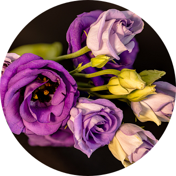 Paarse Bloemen van Adelheid Smitt