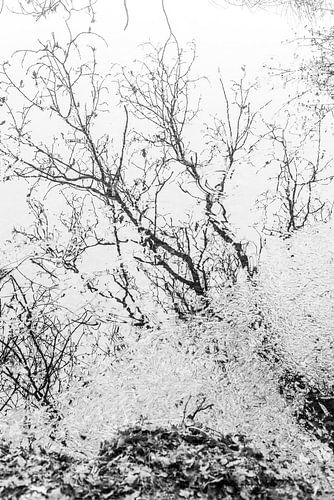 Winter landschap in Nederland