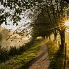 Schöne Stimmung an einem nebligen Morgen entlang des Kromme Rijn von Arthur Puls Photography