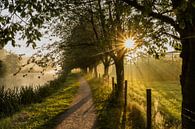 Prachtige sfeer op een mistige ochtend langs de Kromme Rijn van Arthur Puls Photography thumbnail