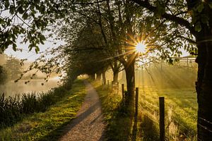 Prachtige sfeer op een mistige ochtend langs de Kromme Rijn van Arthur Puls Photography
