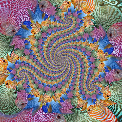 Triple Spiral of Four Fish