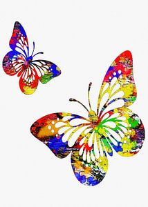 butterfly flies together