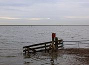 Vogelbroedgebied bij Schellinkhout van Yolande Mulder thumbnail