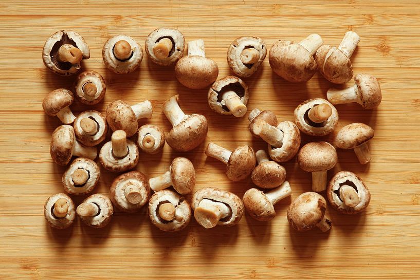 Champignons van Thomas Jäger