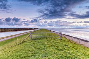 Texel, Waddenzee Landschap V von Evert Jan Luchies